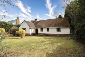 Photo 14- click for photo gallery